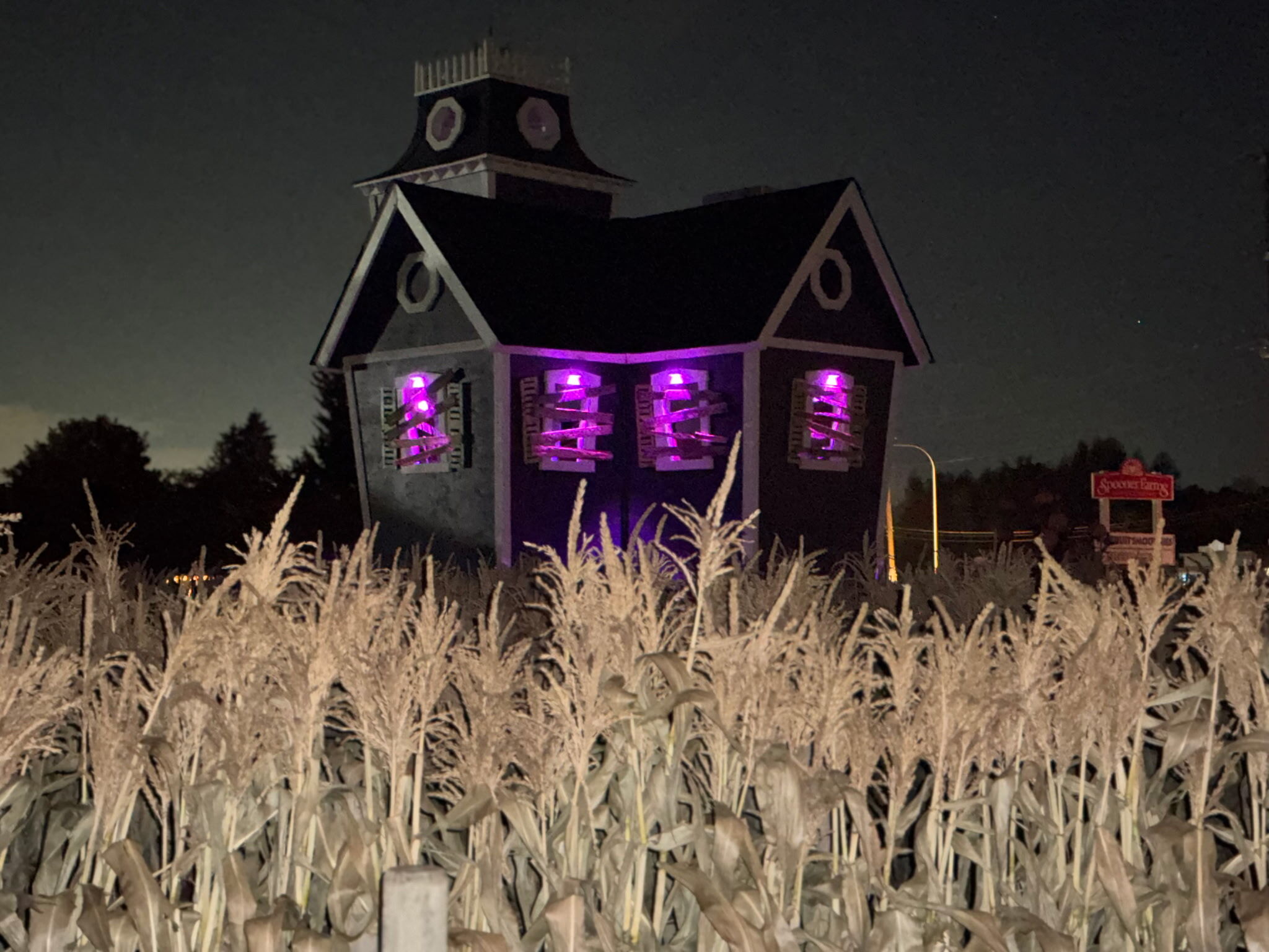 ghostly manor night