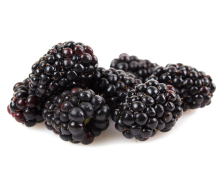 Kotata Blackberries